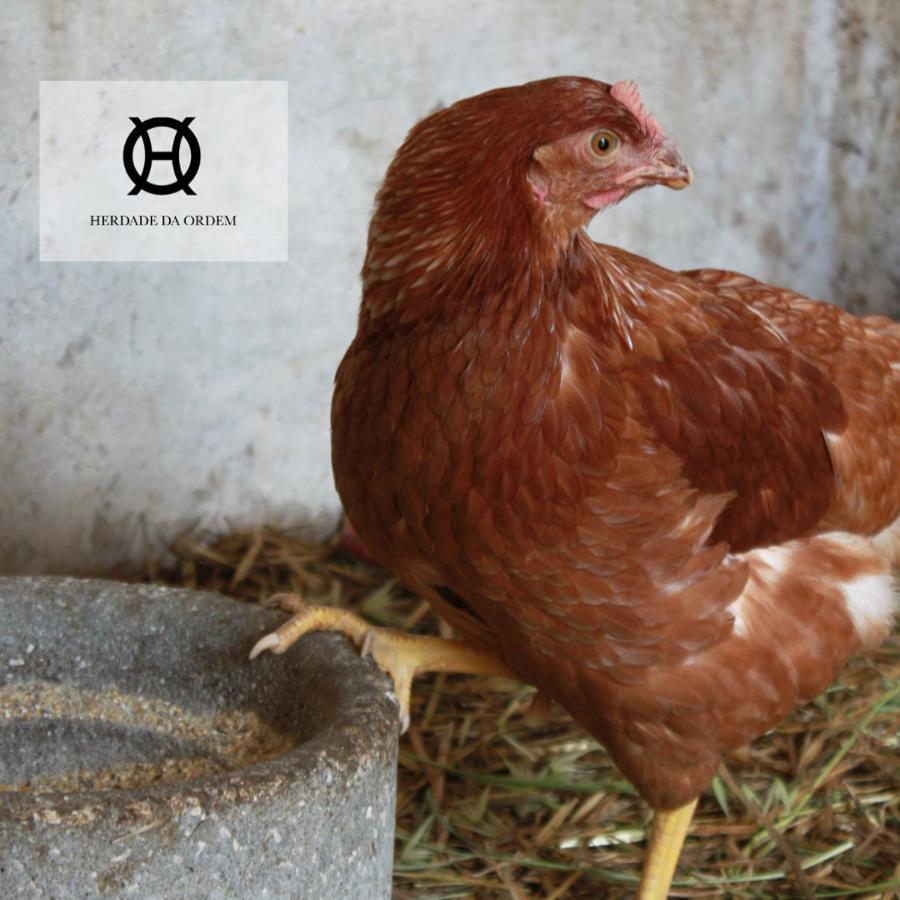 Herdade Da Ordem Cabeco de Vide Экстерьер фото